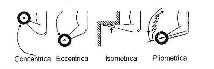 Contrazioni muscolari e metodologia di allenamento